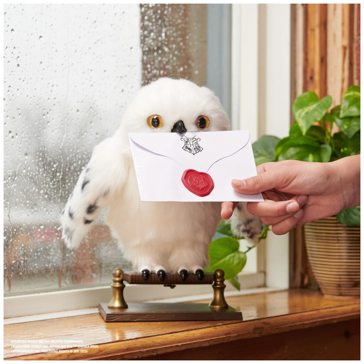Wizarding World Hogwarts envelope held by Hedwig, ready to deliver.