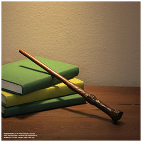 Wizarding World wand as a gift for Harry Potter fans