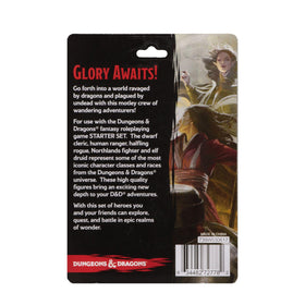 WizKids D&D Icons of the Realms: human ranger ready to explore