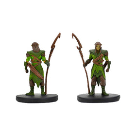 WizKids D&D Icons of the Realms wood elf druid new hero