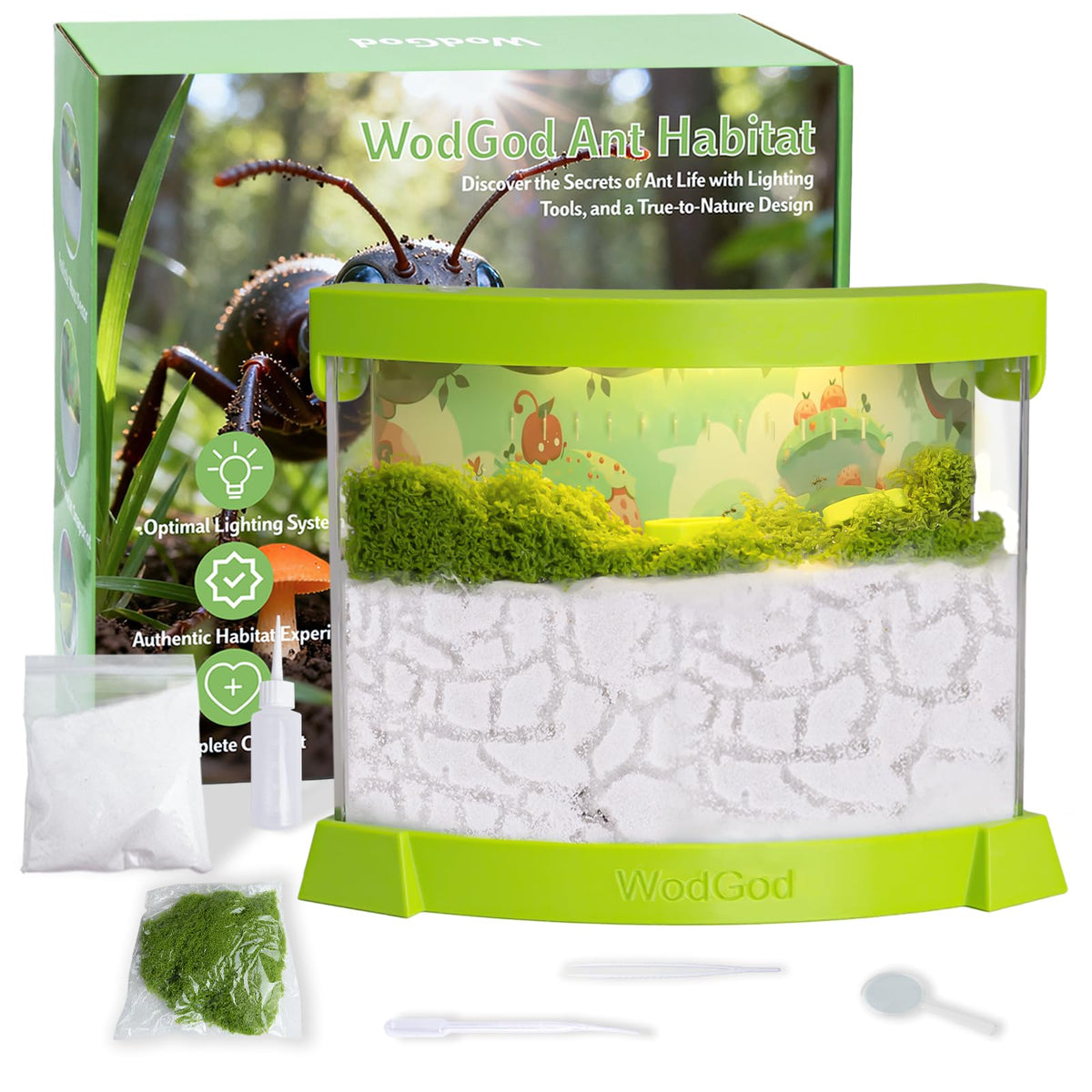 WodGod Illuminated Ant Farm Habitat base for clear ant observation with LED lighting
