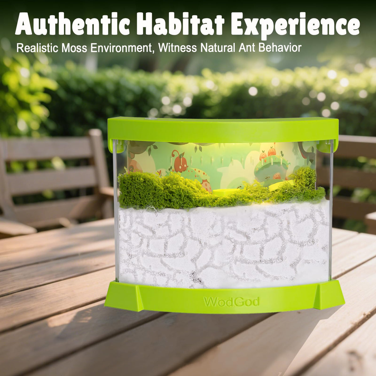 WodGod moss decor set adds natural scenery for colony observation