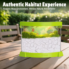 WodGod moss decor set adds natural scenery for colony observation