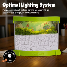 WodGod sterilized quartz sand to encourage tunnel formation