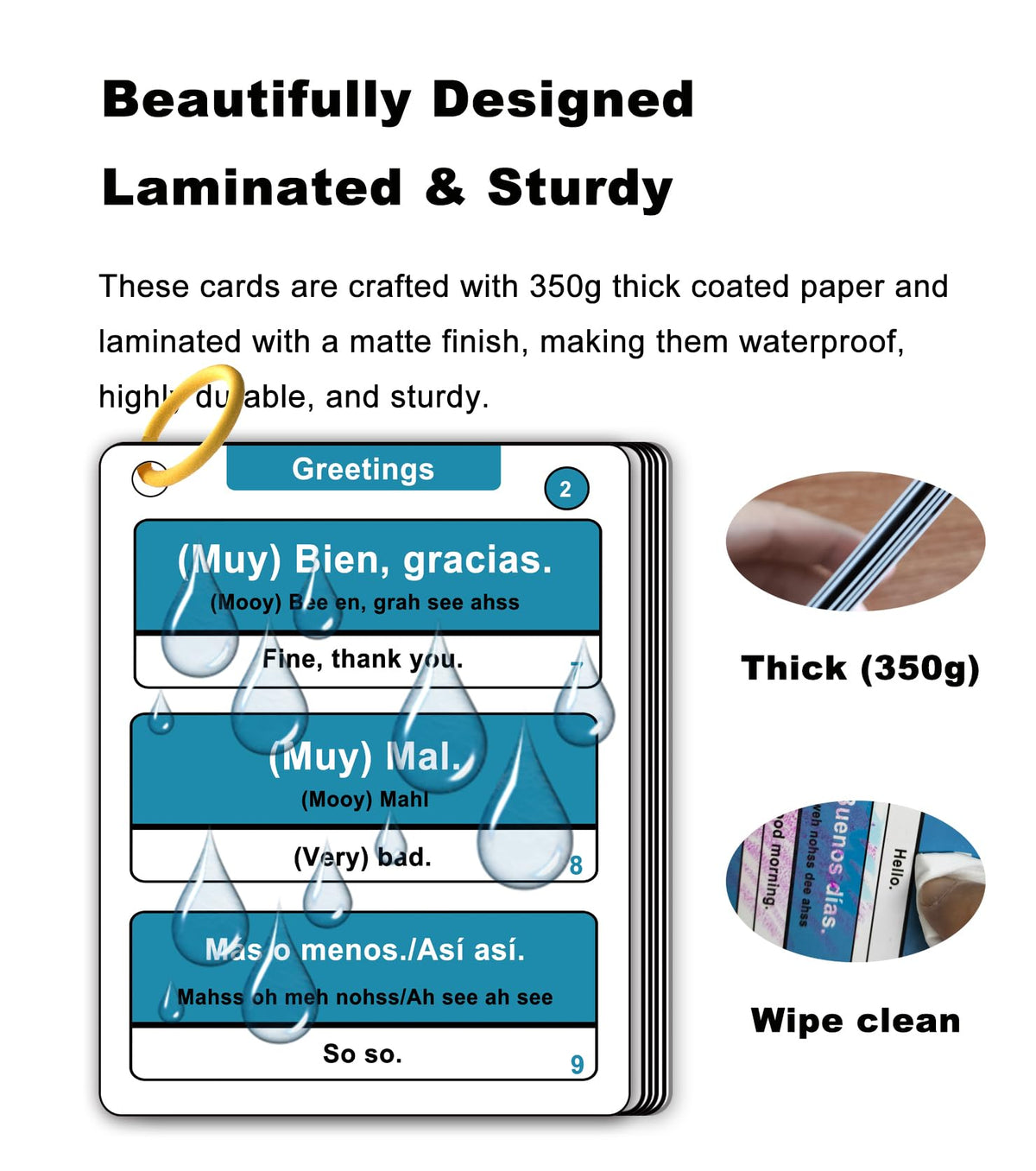 Woifish Spanish Phrases Flash Cards family learning kit supports group study.