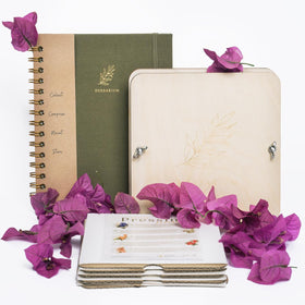 Wall frame with pressed flowers from WOKK kit.