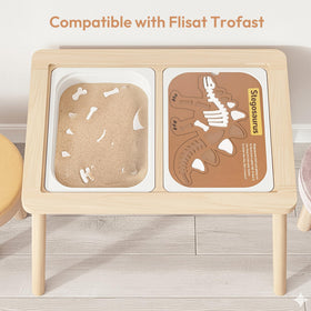 Woodtoe authentic paleontology dig kit invites hands-on fossil exploration.