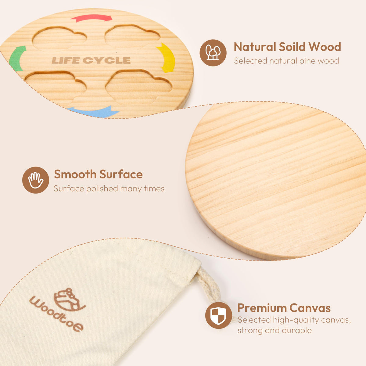 Woodtoe cocoon-to-butterfly stage supports focus and patience in hands-on learning.