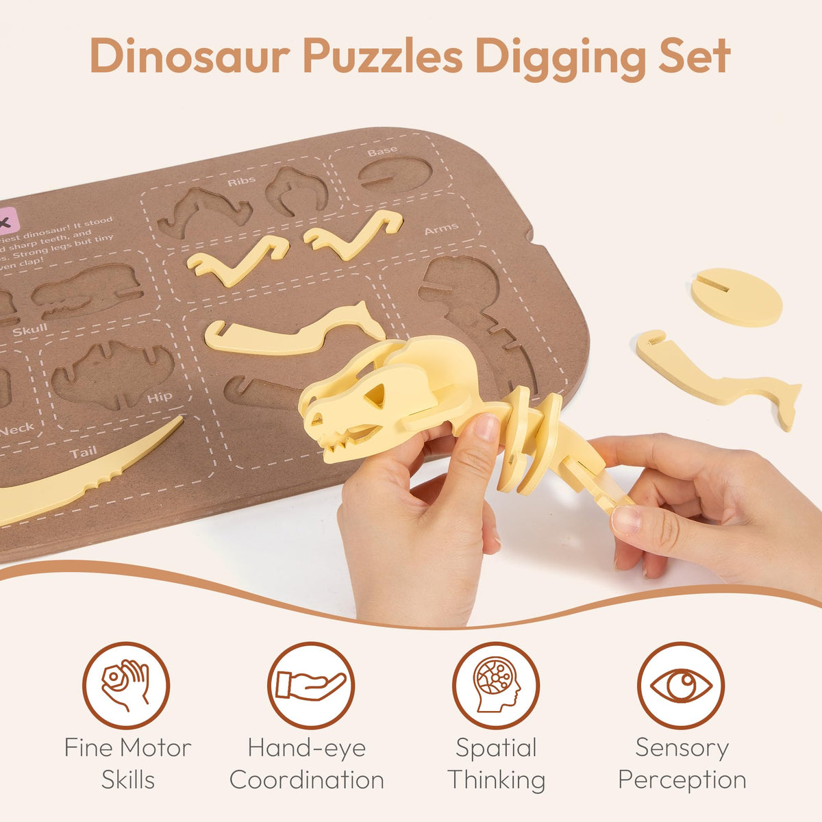 Woodtoe kid-friendly dinosaur play suitable for ages 3 and up.