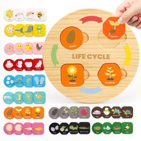 Woodtoe life cycle cards offer hands-on science exploration for independent learning.