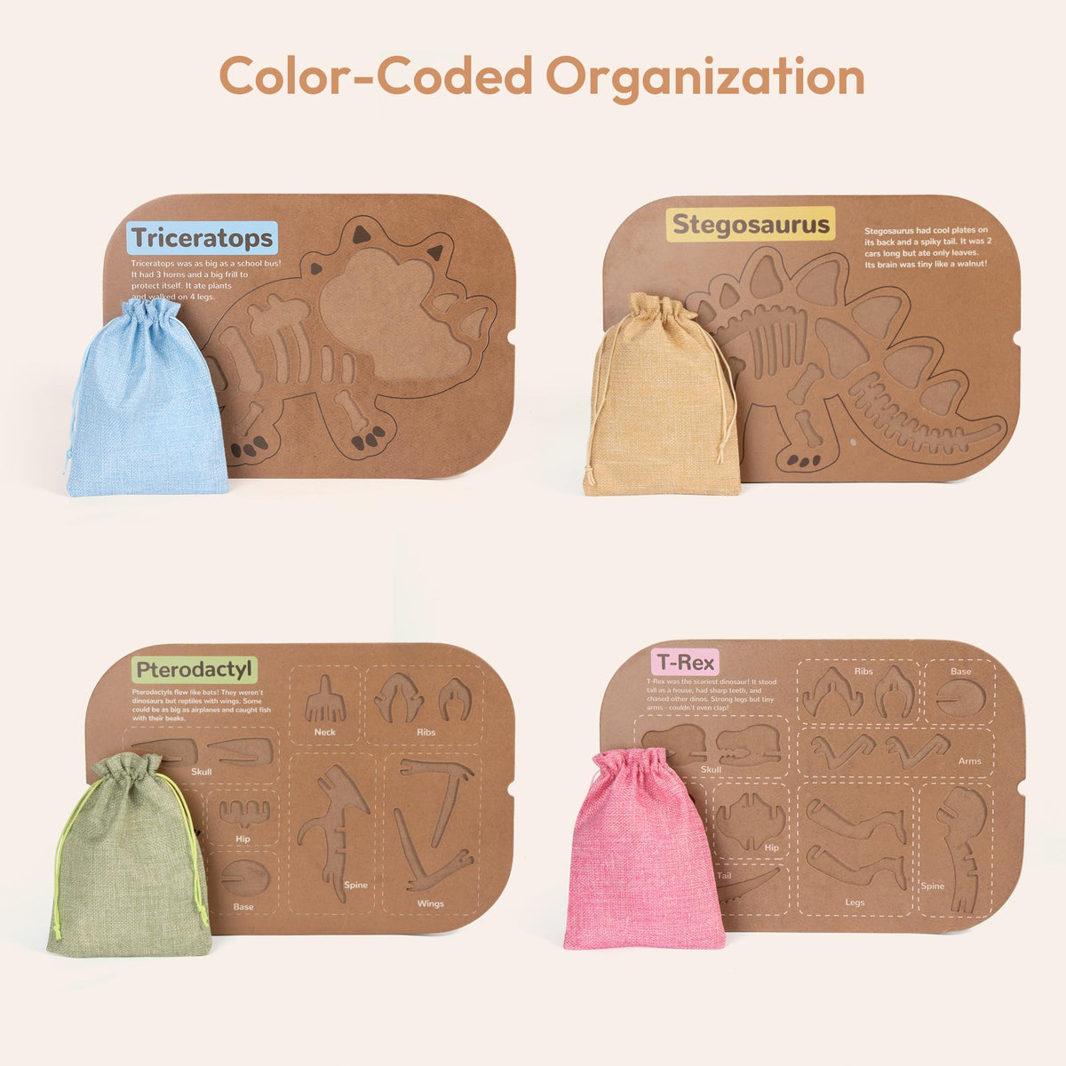 Woodtoe safe and durable wooden design supports long-lasting play.