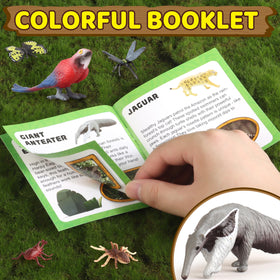 Wookidel rainforest diorama set for engaging school projects