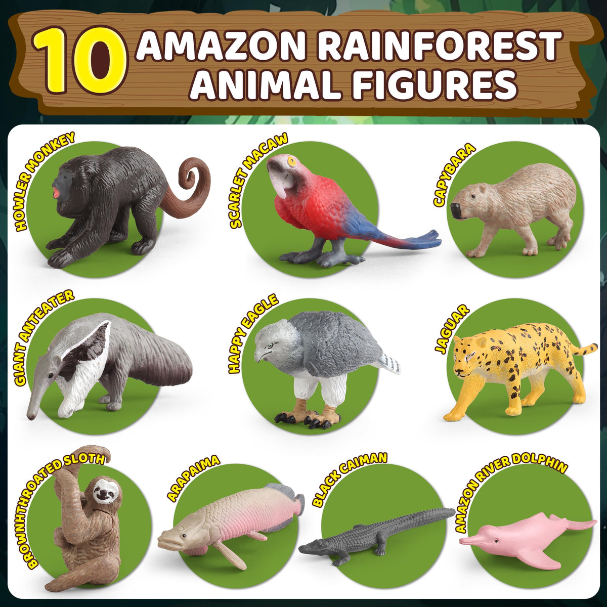 Wookidel rainforest guidebook for student-friendly rainforest background
