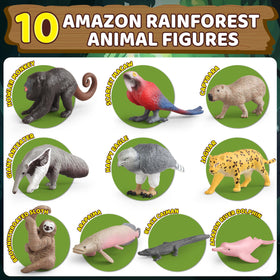 Wookidel rainforest guidebook for student-friendly rainforest background