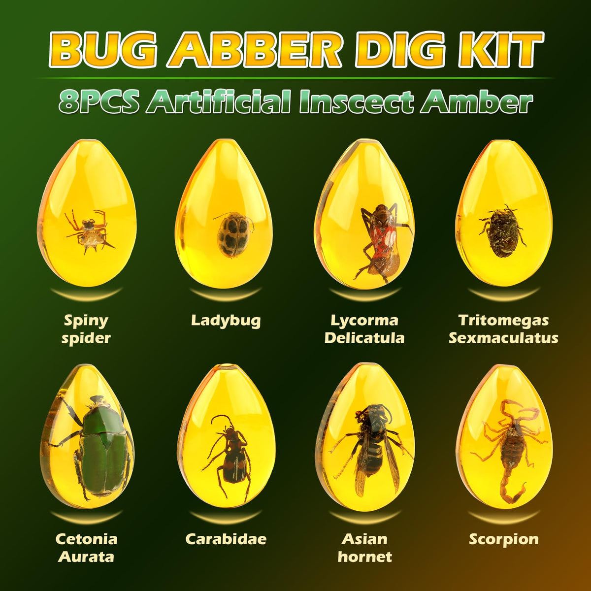Woumserta amber insect specimens laid out for close study.