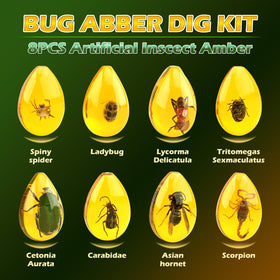 Woumserta amber insect specimens laid out for close study.