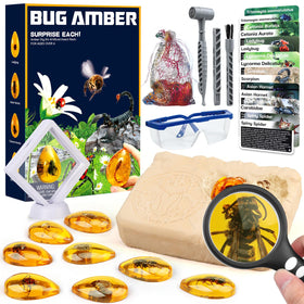 Woumserta Amber Dig Kit with tools for hands-on exploration.