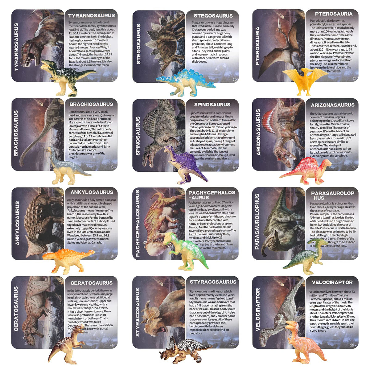 Woumserta Jumbo Dino Egg Dig Kit dinosaur structure book adds context.