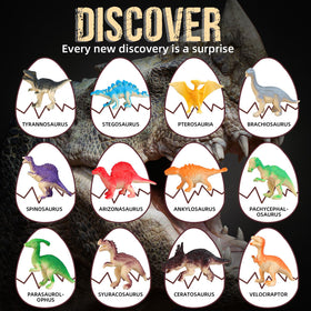 Twelve dinosaurs revealed as kids excavate each egg