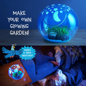 Wow in the World Light-Up Terrarium displays alfalfa seed germination for hands-on learning.