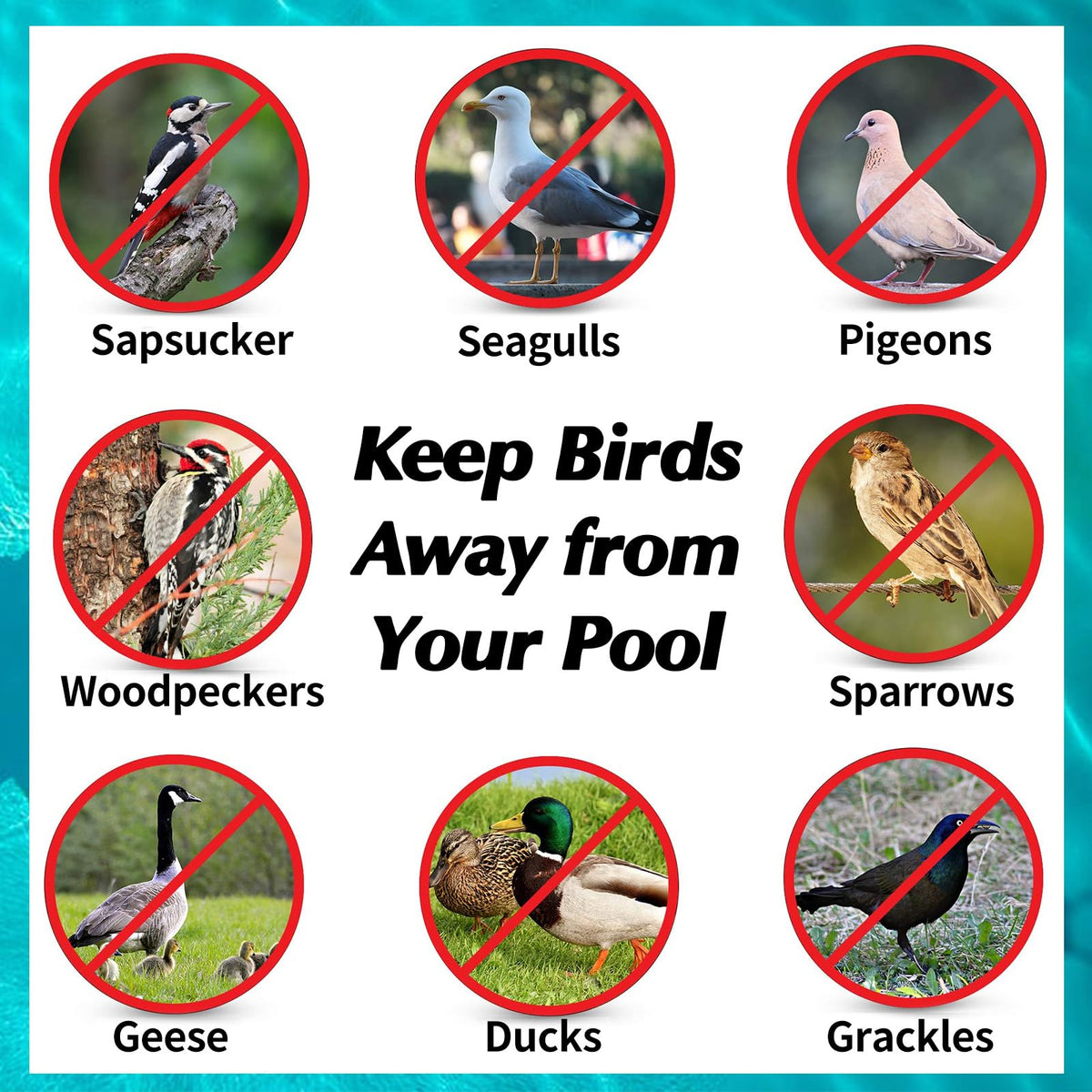 WSBXBB wind spinner bird deterrent adds dynamic movement to guard your yard.