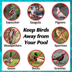 WSBXBB wind spinner bird deterrent adds dynamic movement to guard your yard.