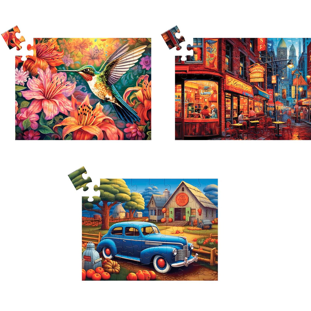 WSCXSC 3-pack large-piece puzzle for seniors with easy-grip pieces and bright colors.