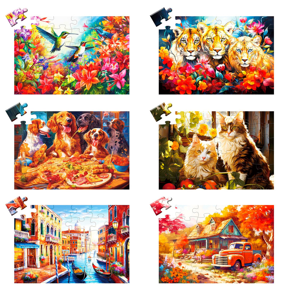 WSCXSC six-pack puzzles for seniors promote calm, focused activity