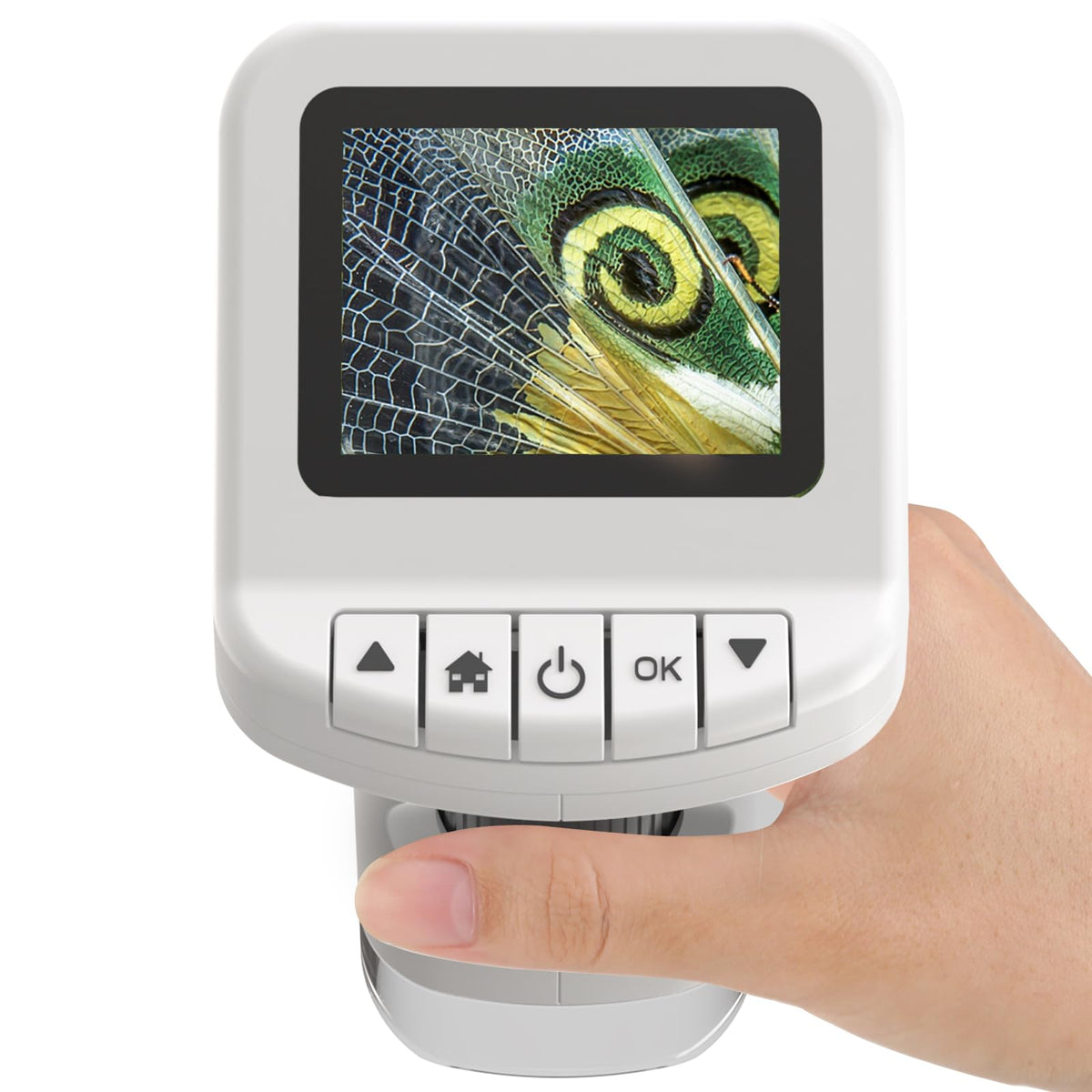 WSDMIC 1200x handheld microscope front view sparks curious nature exploration