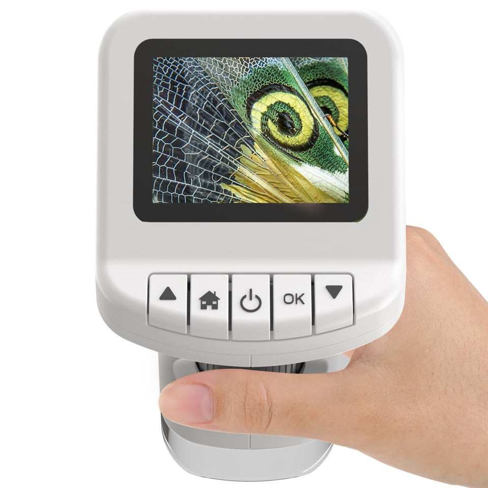 WSDMIC 1200x handheld microscope front view sparks curious nature exploration