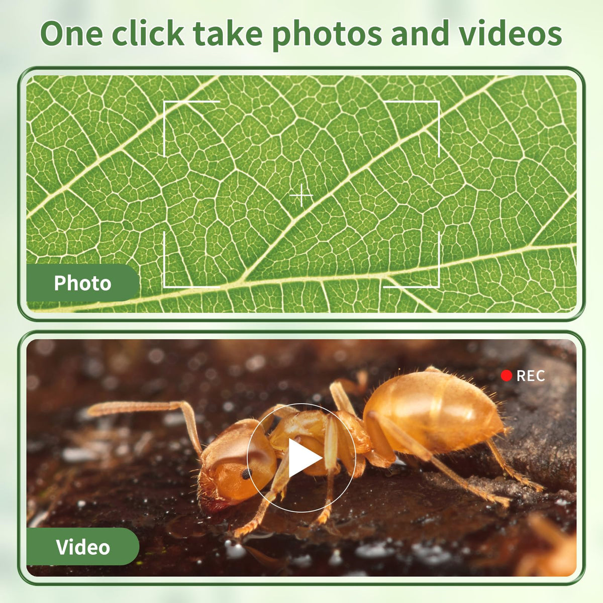 WSDMIC prepared slides start discovery right away for beginners