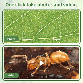 WSDMIC prepared slides start discovery right away for beginners