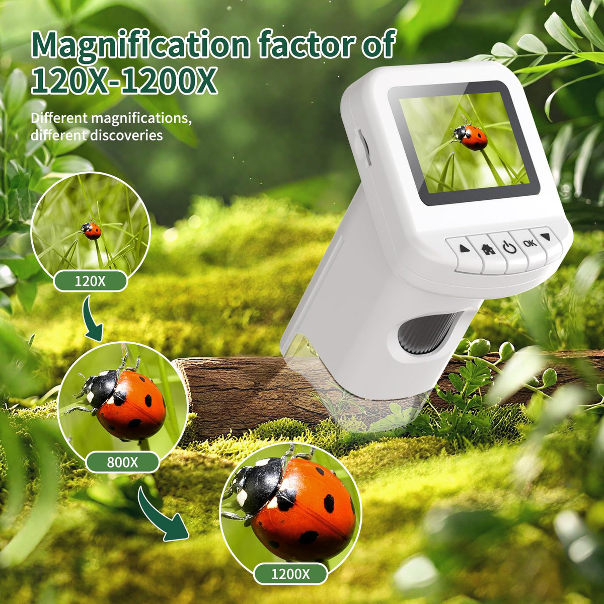 WSDMIC zoom range 200x-1200x reveals tiny details of leaves and insects