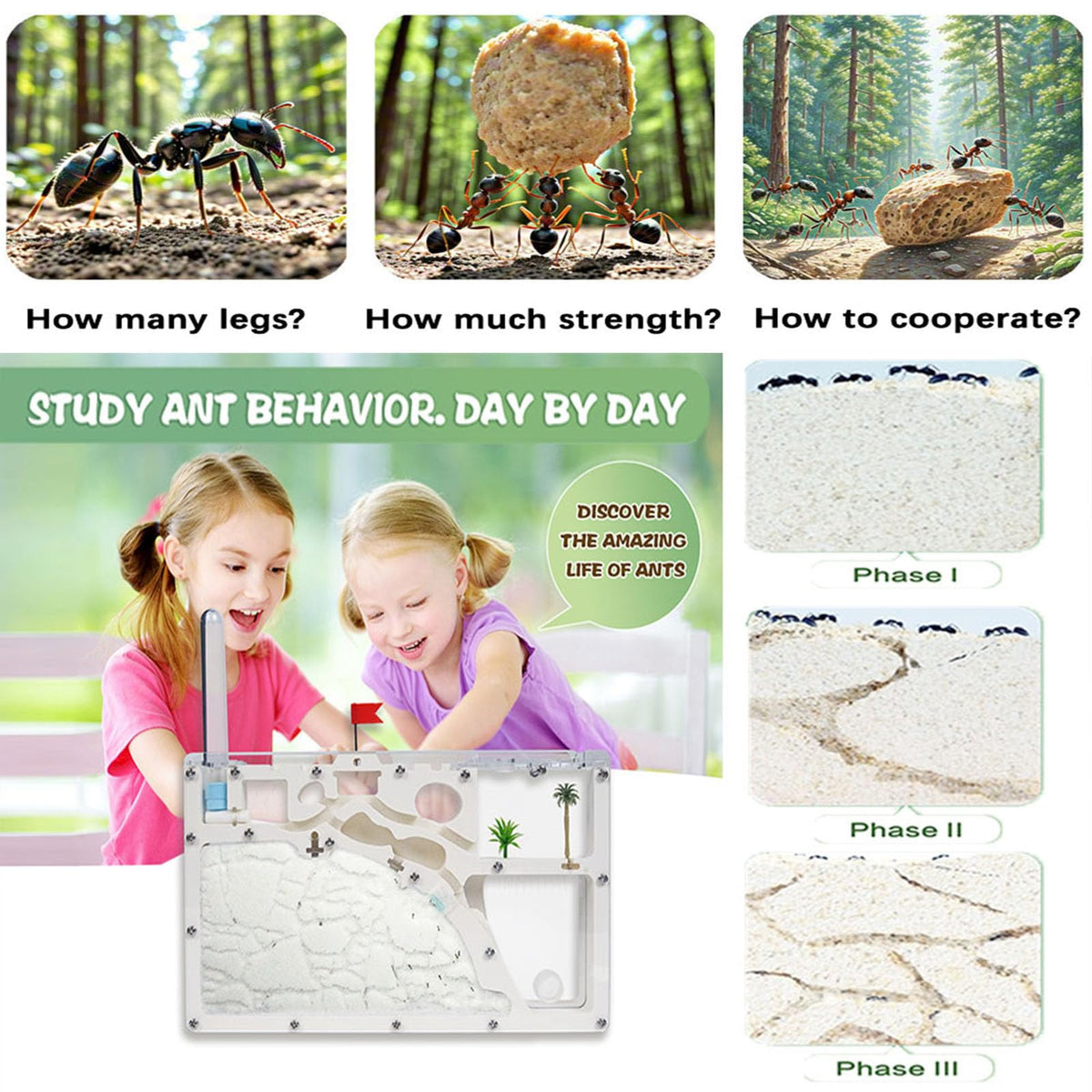 Wtsyant Ant Farm Castle digging zone supports natural tunnel exploration.