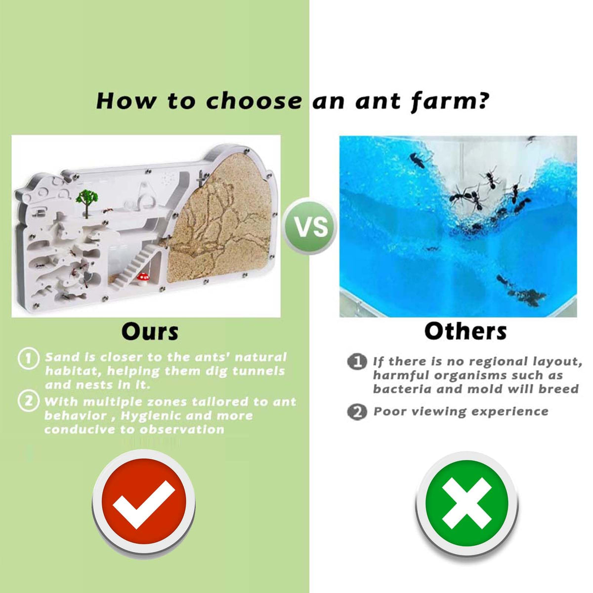 wtsyant Ant Farm Castle digging zone highlights tunneling and foraging observations.