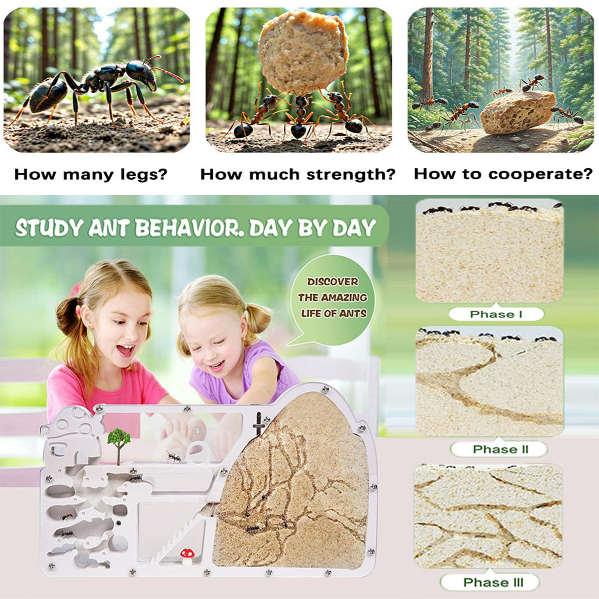 wtsyant Ant Farm Castle exterior with sand habitat supports educational observation of ant behavior.