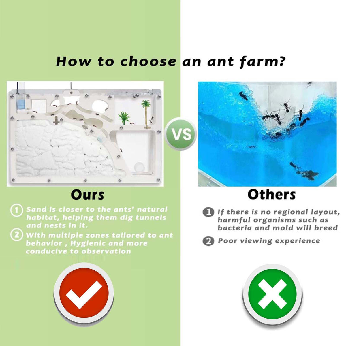 Wtsyant Ant Farm Castle feeding zone lets you watch feeding behavior.