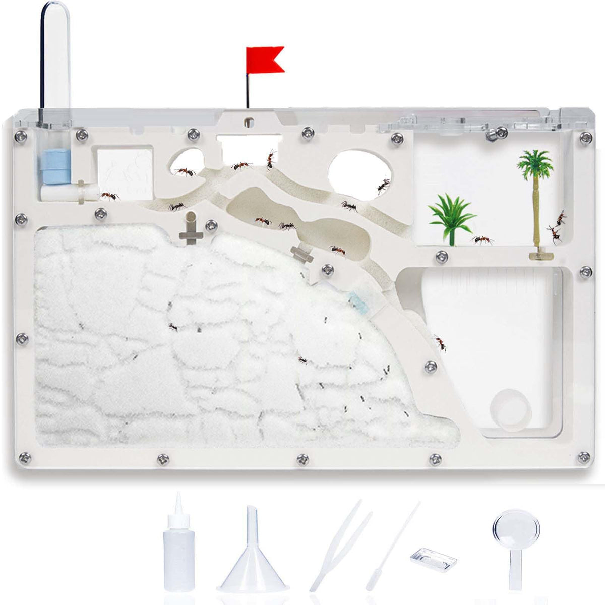Wtsyant Ant Farm Castle with large viewing area for engaging ant observation.