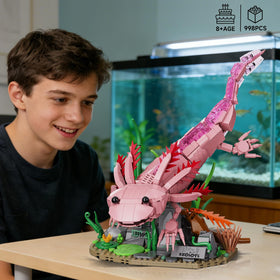 WVINVW Axolotl building set front view showing display base and colors