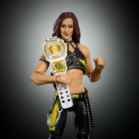 WWE Alba Fyre accessories pack adds authentic display options.
