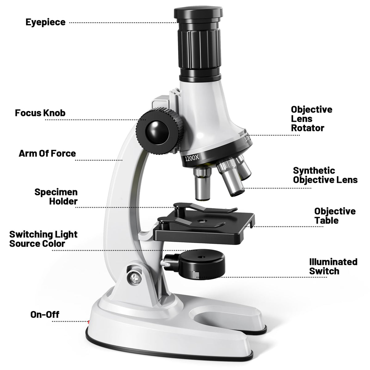 Xelabrion educational toy promotes curiosity and basic lab skills through play.