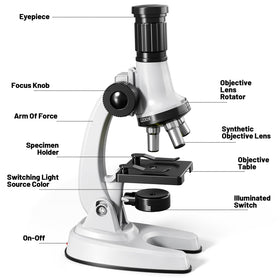 Xelabrion educational toy promotes curiosity and basic lab skills through play.