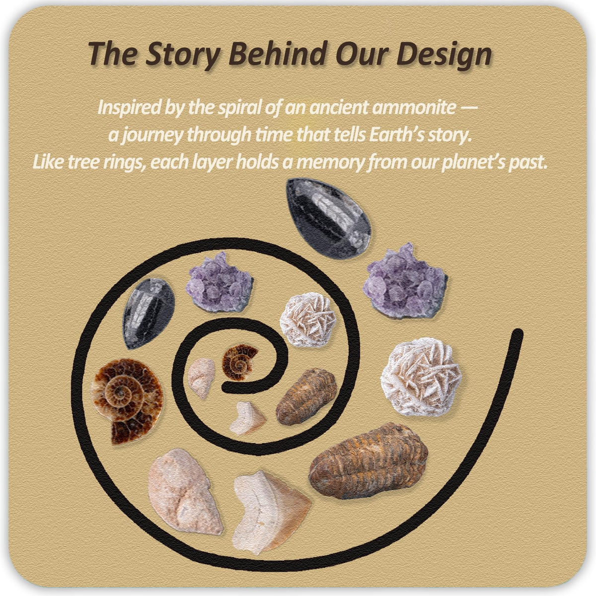 Xenvera Gemstone Dig Kit includes 10 gems and 10 fossils for discovery.