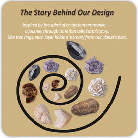Xenvera Gemstone Dig Kit includes 10 gems and 10 fossils for discovery.