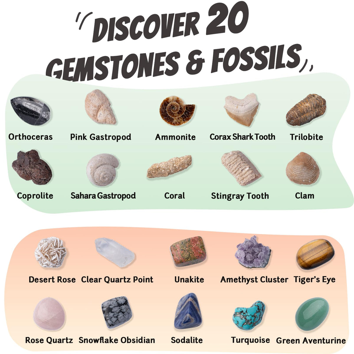 Xenvera Gemstone Dig Kit real fossils and gems spark curiosity.