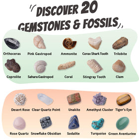 Xenvera Gemstone Dig Kit real fossils and gems spark curiosity.