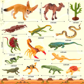 XGHSHW desert diorama kit enables creative storytelling and classroom projects.