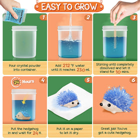 Clear plastic containers keep crystals organized during the growth process