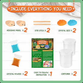Seed rocks provide a base for beginner crystal growth projects with hedgehogs