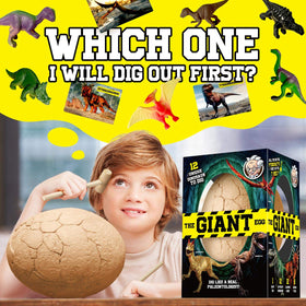 XX Toys dino digging activity suitable for home or classroom